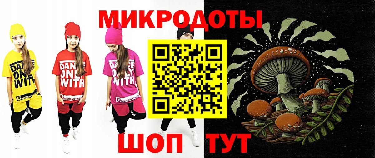 Галлюциногенные грибы мицелий Горно-Алтайск